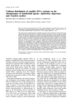 Uniform Distribution of Satellite DNA Variants on the Chromosomes