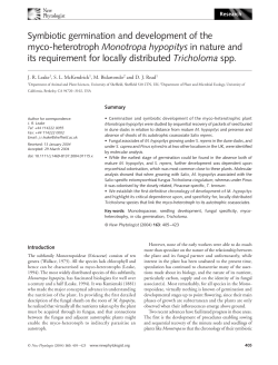 Symbiotic germination and development of the myco