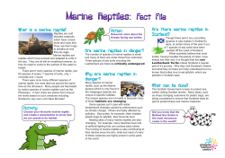 Marine Reptiles Fact Filehot!