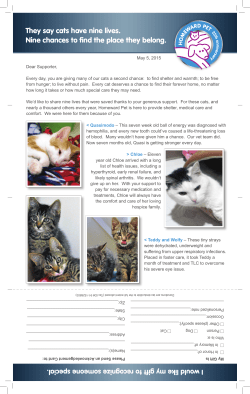 They say cats have nine lives. Nine chances to find