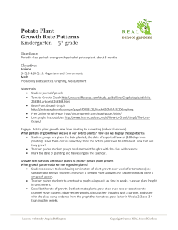 Potato Plant Growth Rate Patterns Kindergarten