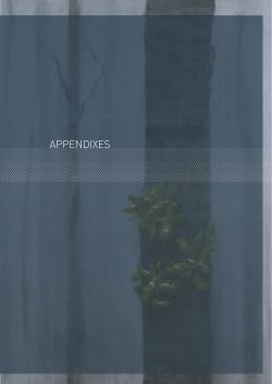 appendixes - 2009 Victorian Bushfires Royal Commission