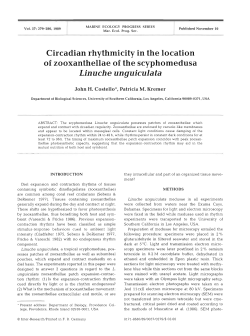 Circadian rhythmicity in the location of zooxanthellae of the
