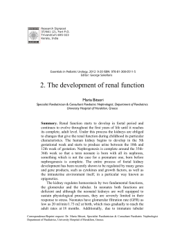 2. The development of renal function