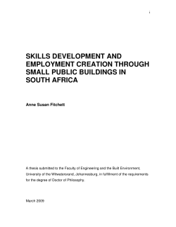 skills development and employment creation through small public