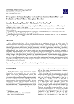 Development of Porous Template Carbons from