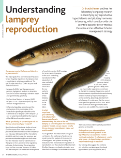 Understanding lamprey reproduction