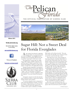 Sugar Hill: Not a Sweet Deal for Florida Everglades