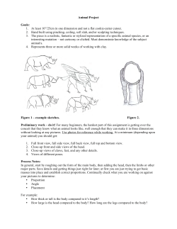 Animal Project Goals: 1. At least 10&rdquo;/25cm in one dimension and not
