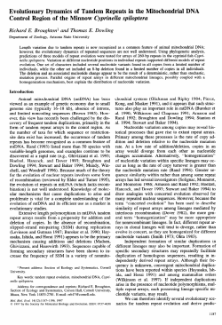 Evolutionary Dynamics of Tandem Repeats in the Mitochondrial