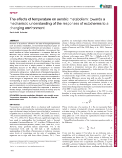 The effects of temperature on aerobic metabolism