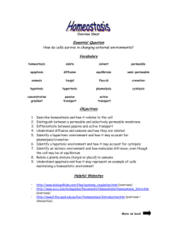 Essential Question Vocabulary Objectives Helpful Websites