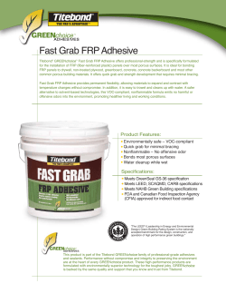 Fast Grab FRP Adhesive