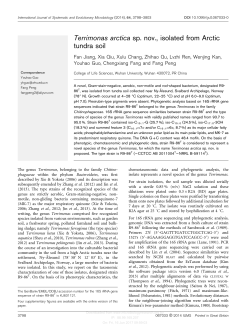Terrimonas arctica sp. nov., isolated from Arctic tundra soil
