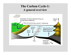 The Carbon Cycle-1:
