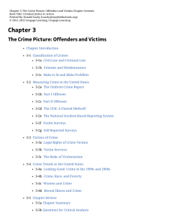 3. The Crime Picture: Offenders and Victims