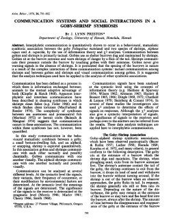 Goby-Shrimp Interaction