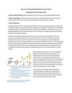 Shor Lab – Protist-facilitated Bacterial Transport