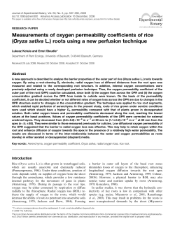 Measurements of oxygen permeability