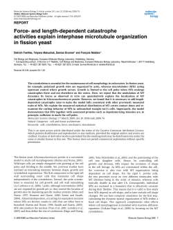 Force- and length-dependent catastrophe activities explain