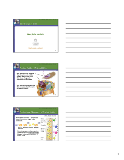 The Basics of Life Nucleic Acids