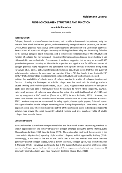 Heidemann Lecture: PROBING COLLAGEN STRUCTURE AND