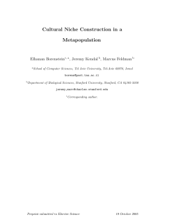 Cultural Niche Construction in a Metapopulation