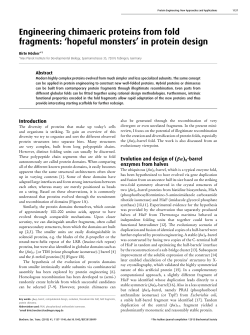 Engineering chimaeric proteins from fold fragments