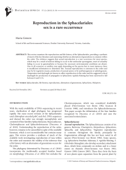 Reproduction in the Sphacelariales: sex is a rare occurrence