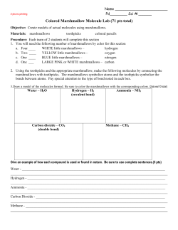 Colored Marshmallow Molecule Lab (71 pts total)