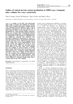 Failure of central nervous system myelination in MBP/c-myc