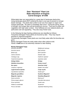 Deer resistant trees and shrubs