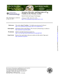 Families in the Mexican Axolotl H Structure, Diversity, and