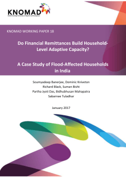 Do Financial Remittances Build Household- Level