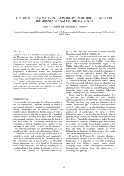 FEATURES OF RAW MATERIAL USE IN THE PALAEOLITHIC