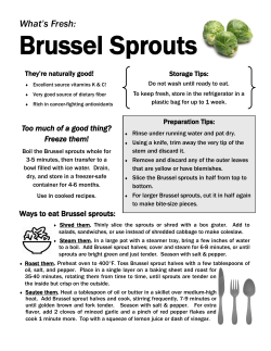 Brussel Sprouts - Hunger and Health