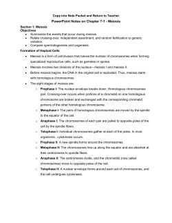 PowerPoint Notes on Chapter 7-1