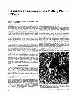 Foodniche of Coyotes in the Rolling Plains of Texas