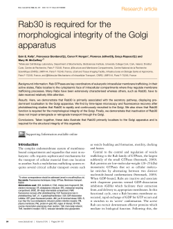 Rab30 is required for the morphological integrity of the Golgi