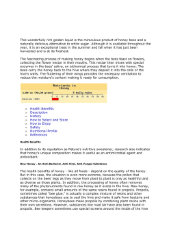 Interesting facts about Honey