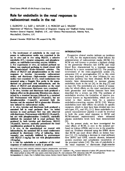 Role for Endothelin in the Renal Responses to Radiocontrast Media