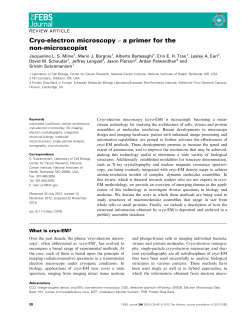 Cryoelectron microscopy a primer for the nonmicroscopist