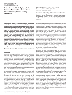 Extrinsic and Intrinsic Systems in the Posterior Cortex of the Human