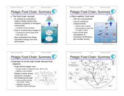 Pelagic Food Chain - University of Washington