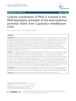 Cysteine coordination of Pb(II) is involved in the PbrR