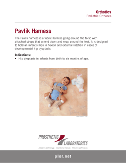 Pavlik Harness