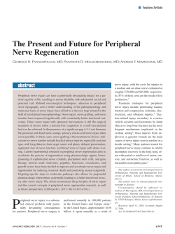 The Present and Future for Peripheral Nerve Regeneration