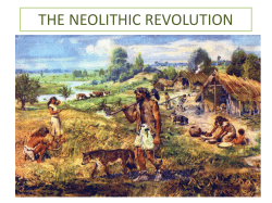 the neolithic revolution