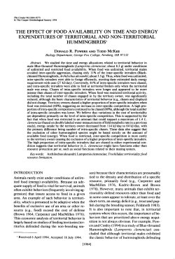 The Effect of Food Availability on Time and Energy Expenditures of