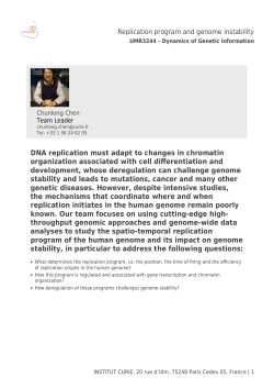 DNA replication must adapt to changes in chromatin organization
